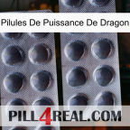 Dragon Power Pills 31